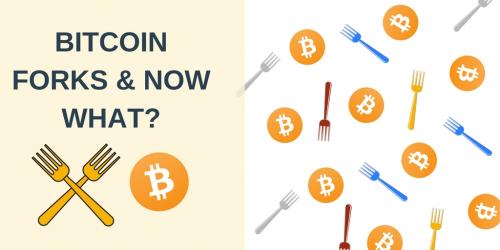 Bitcoin Forks and Now What?