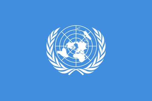 UN Explores Blockchain to Combat Climate Change