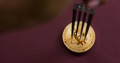 It's Forking Season as SegWit 2x Goes Up for Relaunch