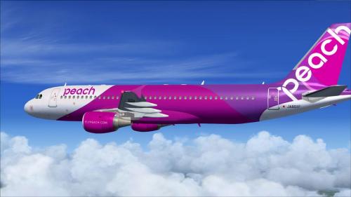 Japanese Budget Airline Proceeds with Bitcoin Plan