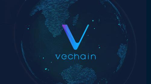 VeChain Meeting in Brussels with Top Belgian Minister