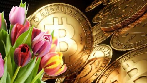 Bitcoin is the Modern Man's Tulip Mania 