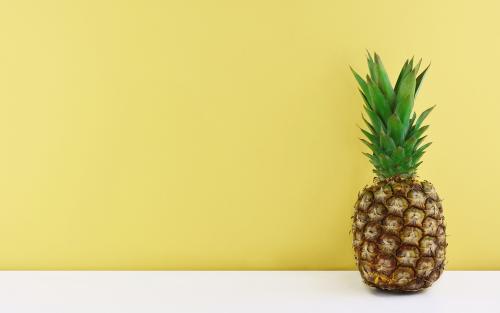  Pineapple Fund Bestows $1m on Free Software Foundation