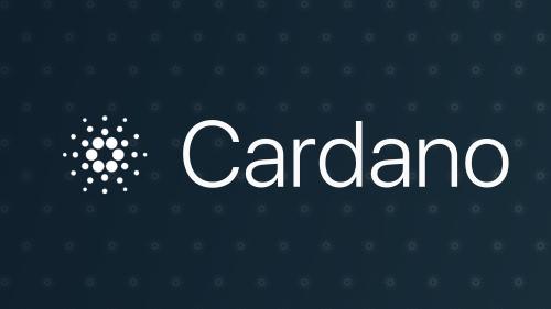 Cardano Team Members on Conference Circuit